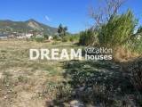 slide1 thumbnail