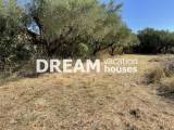 slide1 thumbnail
