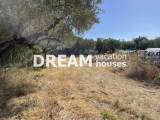 slide1 thumbnail