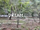 slide1 thumbnail