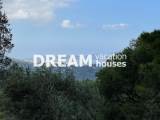 slide1 thumbnail