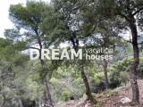 slide1 thumbnail