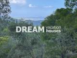 slide1 thumbnail