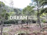 slide1 thumbnail