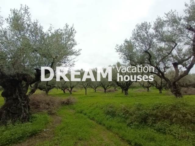 Αξιοποιήσιμη Γη Οικόπεδο |Ν. Ζακύνθου/Άγιος Δημήτριος- 2.662 τ.μ, 80.000€ 